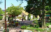 Kantenpapa Garden