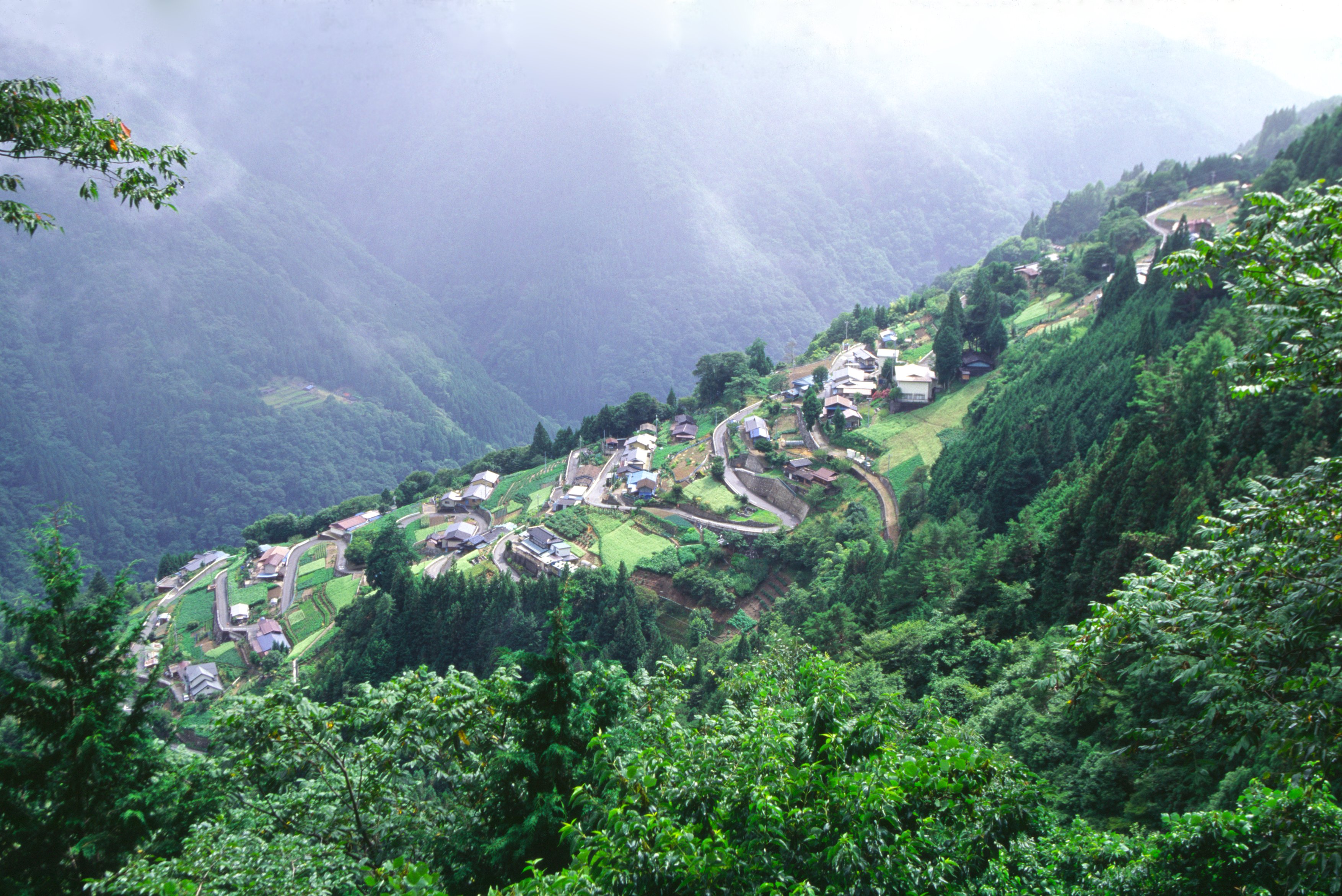 시모구리 마을